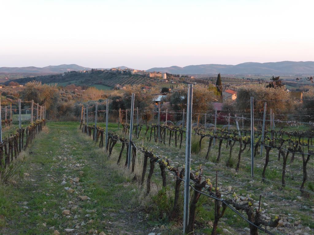 Campospillo Villa Magliano in Toscana Bagian luar foto