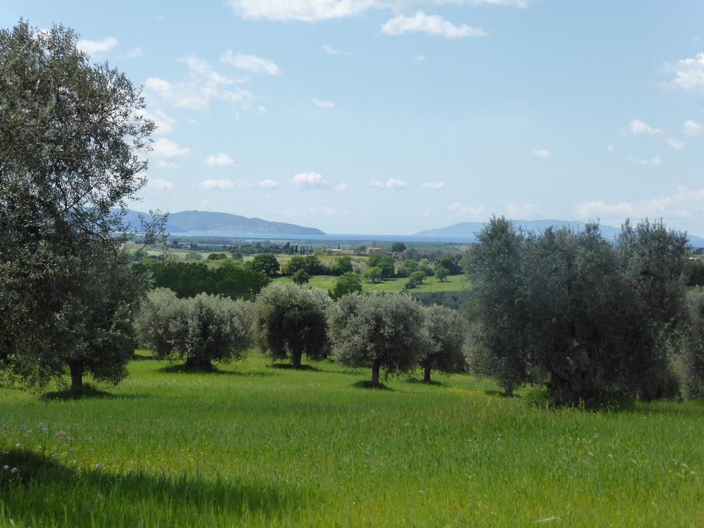 Campospillo Villa Magliano in Toscana Bagian luar foto