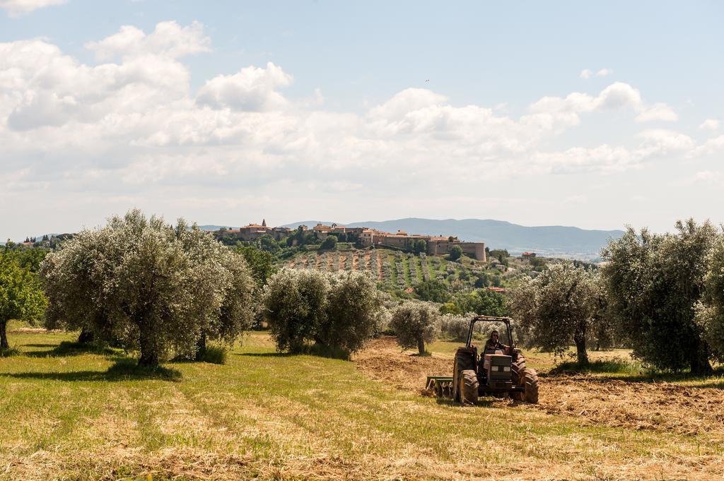 Campospillo Villa Magliano in Toscana Bagian luar foto